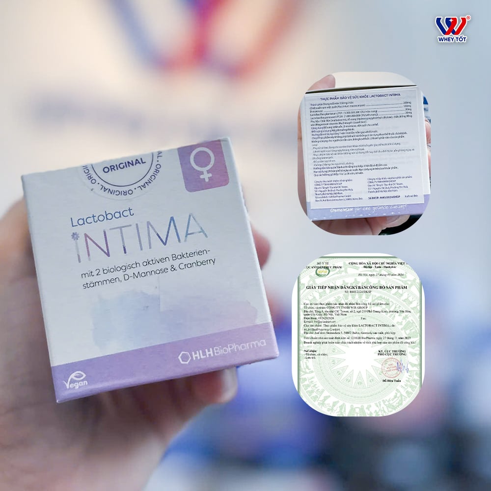 Lactobact Intima 30 viên | Lợi Khuẩn, Việt Quất Và D-Mannose