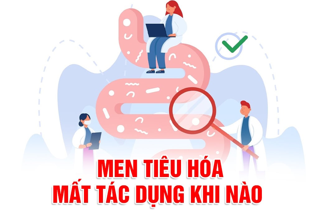 men tieu hoa mất tác dụng khi nào