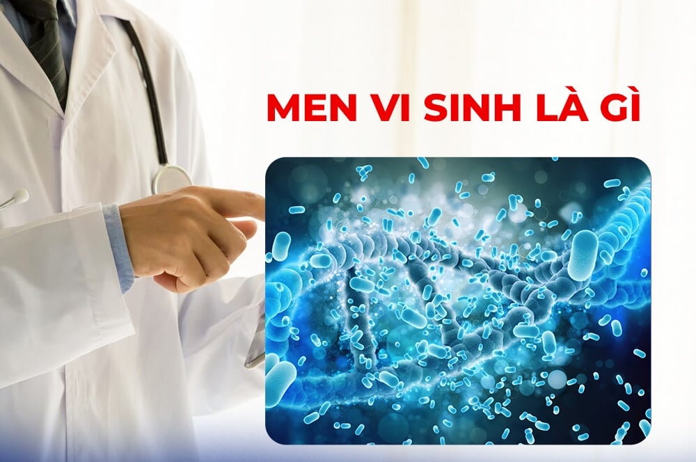 men vi sinh la gi