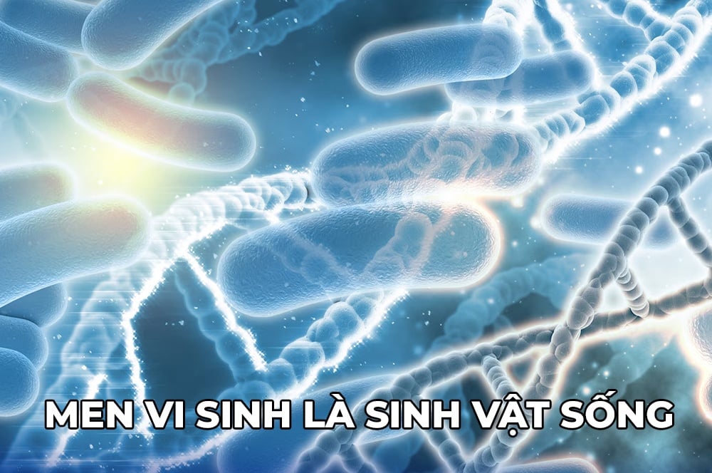 men vi sinh la sinh vat song