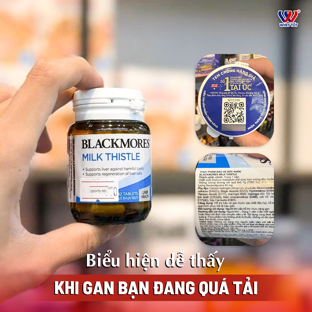 blackmores milkthistel giải độc gan