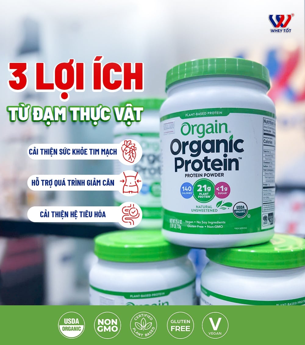 3 lợi ích của protein thực vật