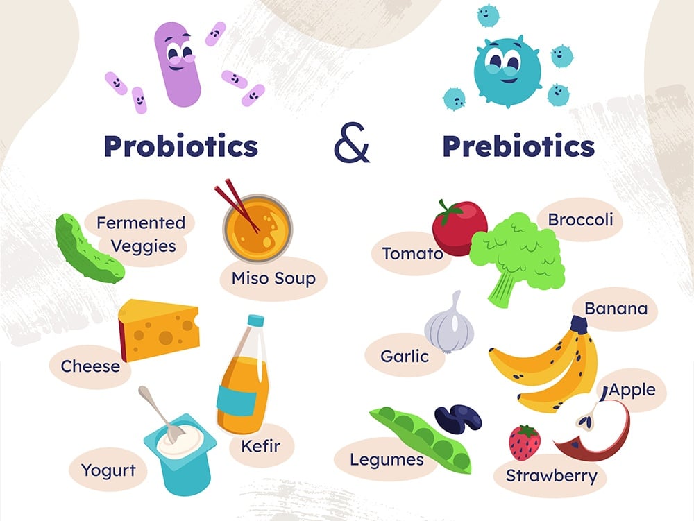 Prebioticcs là gì