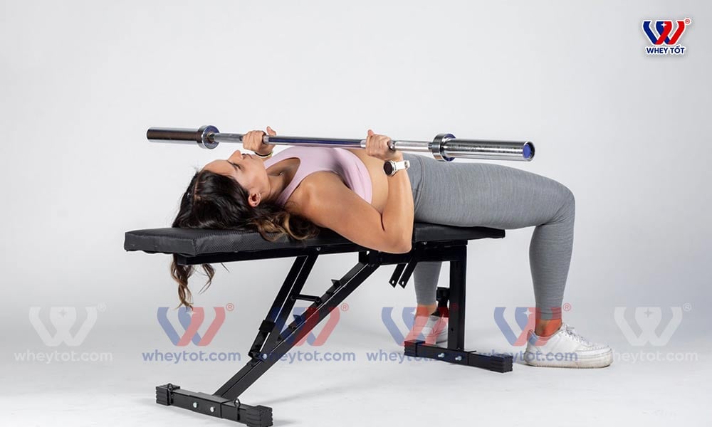 tap nguc voi Barbell Bench Press