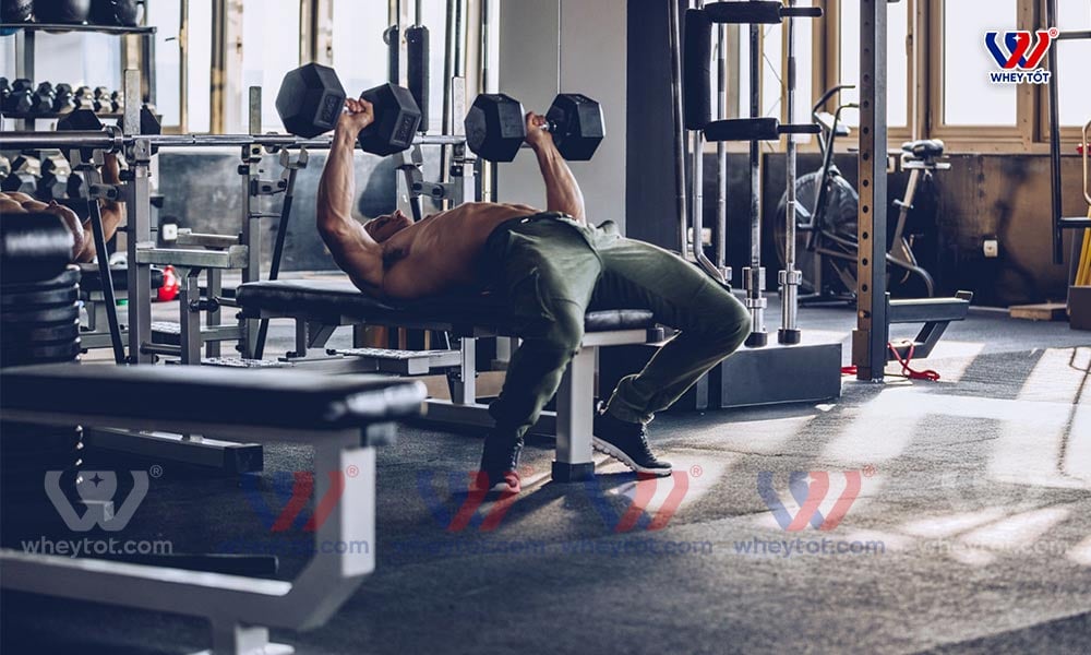 Đẩy ngực với tạ đơn - Dumbbell Bench Press
