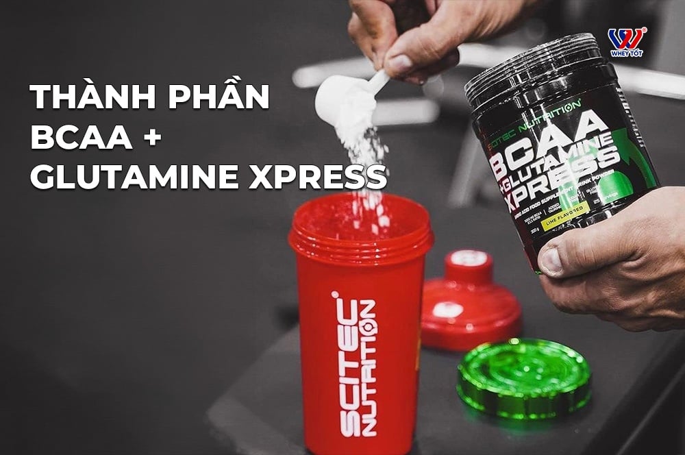 thanh phan BCAA + Glutamine Xpress