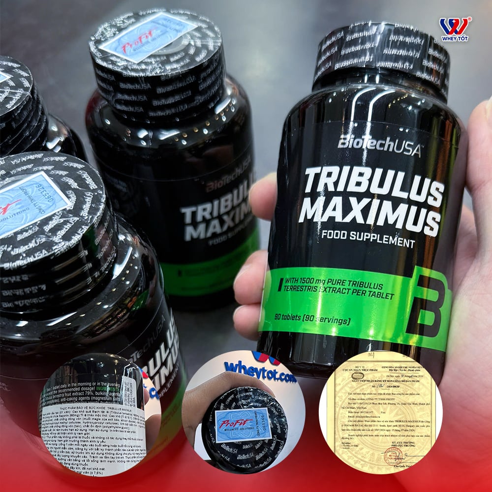 tribuslus