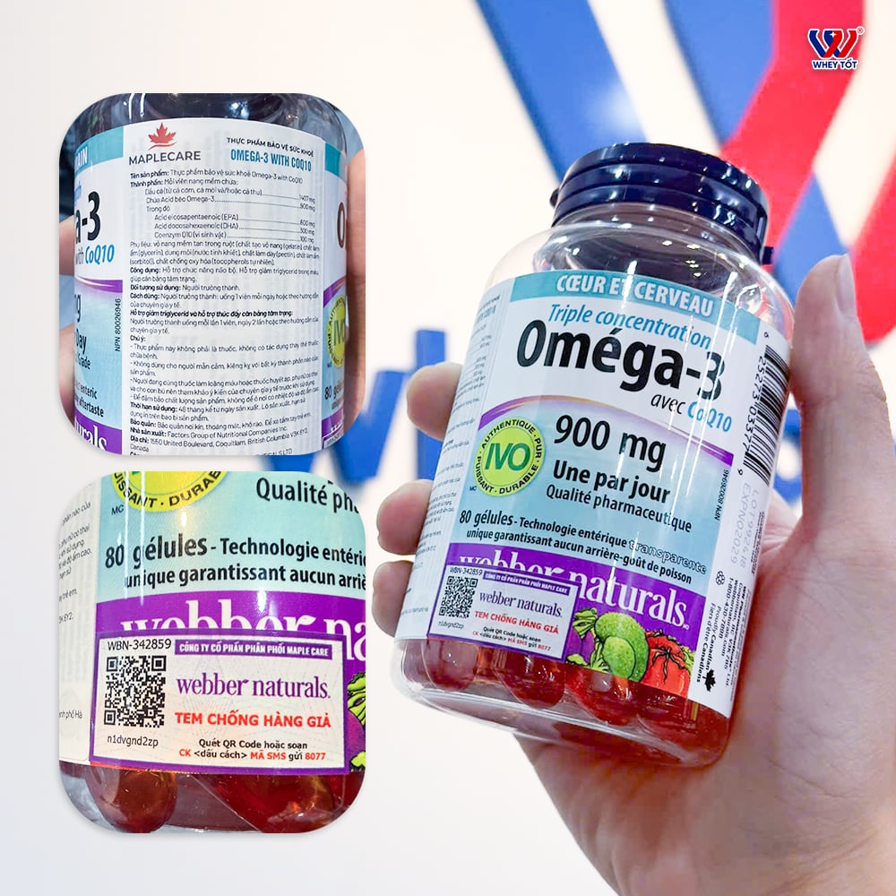 omega 3 Coq10 hỗ trọ tim mạch