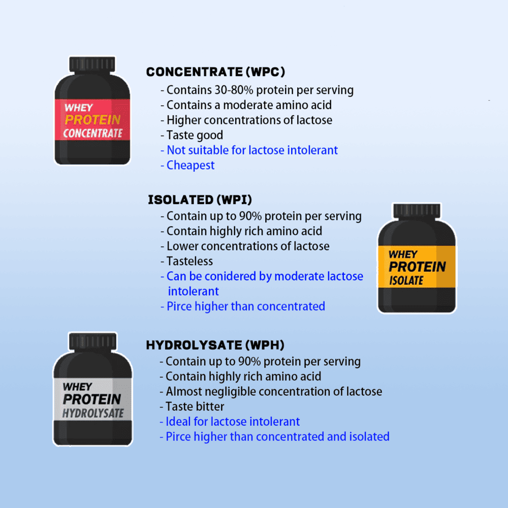 Có 3 loại whey protein chính