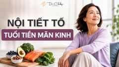 Trung Niên Tiền Mãn Kinh Nên Ăn Gì Để Hỗ Trợ Nội Tiết