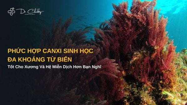 Phức Hợp Canxi Đa Khoáng Từ Biển - Bí Quyết Vững Xương Và Hệ Miễn Dịch Khỏe Mạnh