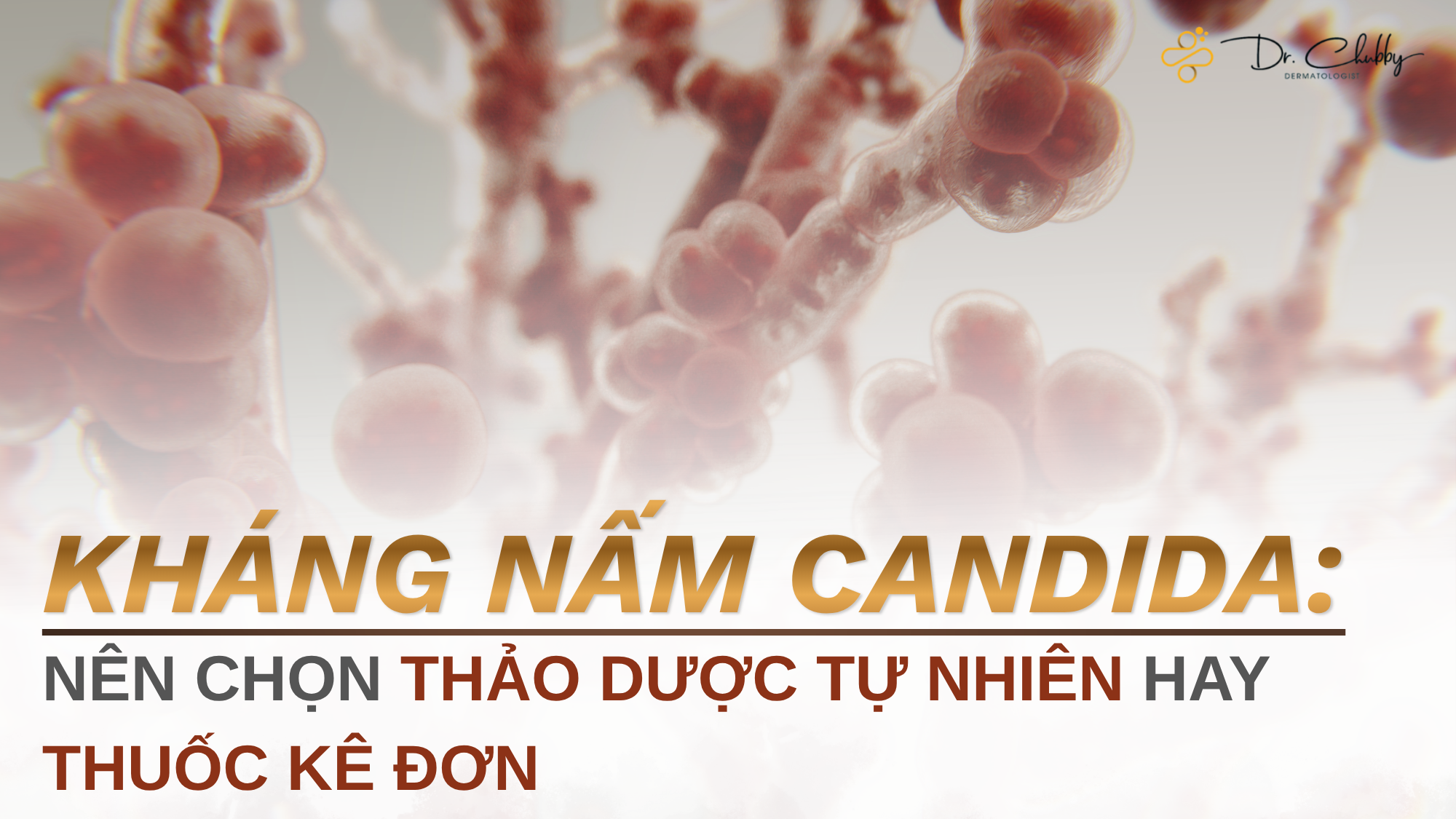 Hoạt Chất Kháng Nấm: Hỗ Trợ Tự Nhiên Hay Thuốc Kê Đơn, Lựa Chọn Nào An Toàn Cho Làn Da?