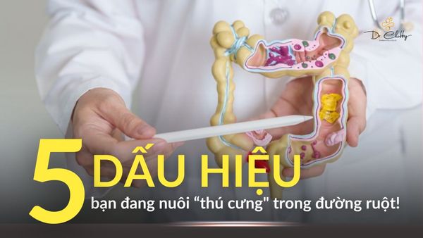 5 Dấu Hiệu Cảnh Báo Bạn Đang Nhiễm Ký Sinh Trùng