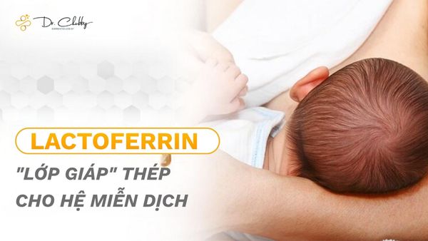 Lactoferrin: 