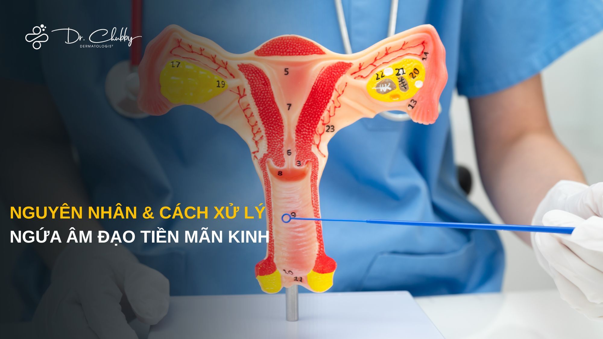 Ngứa Âm Đạo Tiền Mãn Kinh: Nguyên Nhân Và Cách Xử Lý Dứt Điểm