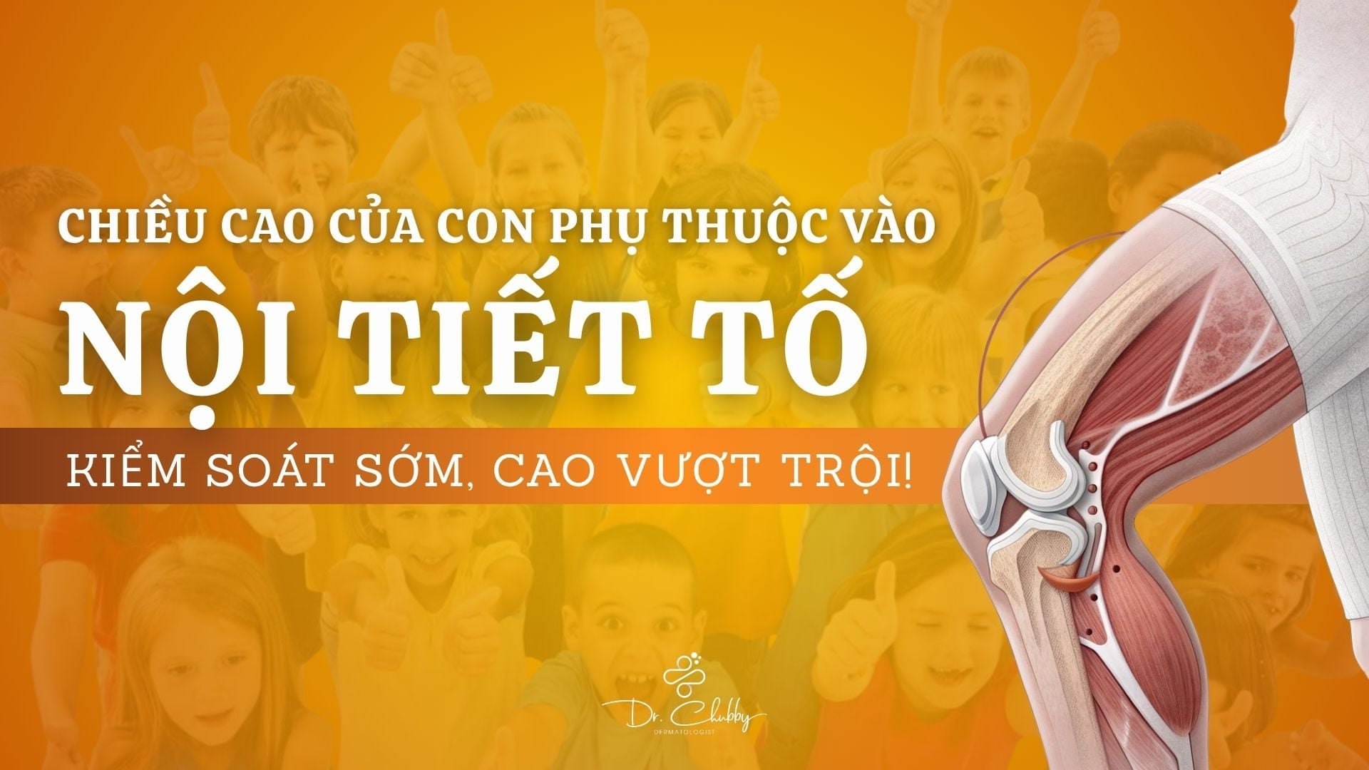 Nội tiết tố dậy thì: Thời điểm vàng để trẻ bứt phá chiều cao