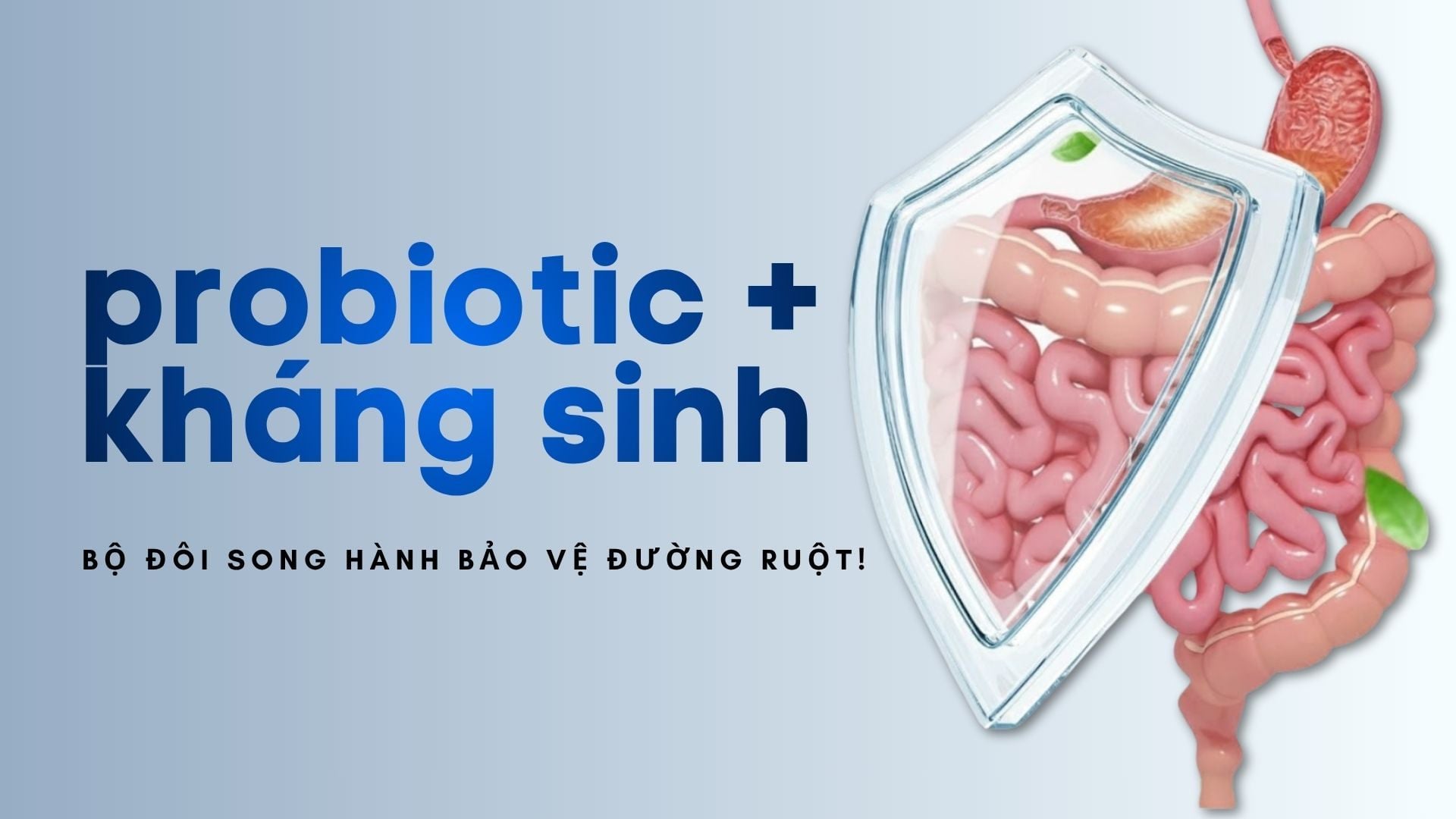 Kết hợp probiotic với kháng sinh: Lợi ích thật sự là gì?