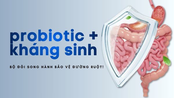 Kết hợp probiotic với kháng sinh: Lợi ích thật sự là gì?