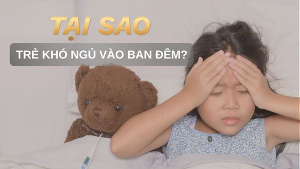 Tại Sao Nhiều Trẻ 11-12 Giờ Đêm Vẫn Chưa Ngủ? Sai Lầm Cha Mẹ Thường Mắc Phải