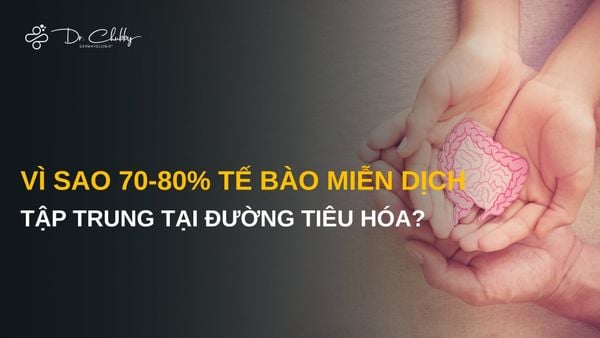 Trục Ruột - Miễn Dịch: Vì Sao 70-80% Tế Bào Miễn Dịch Tập Trung Tại Đường Tiêu Hóa?