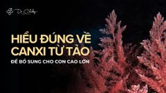 CANXI HỮU CƠ TỪ TẢO – HIỂU ĐÚNG ĐỂ CON CAO LỚN ĐÚNG NGHĨA