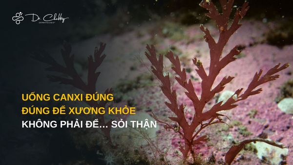 Canxi Hữu Cơ Từ Tảo - Uống Canxi Đúng Để Xương Khỏe, Không Phải Để… Sỏi Thận