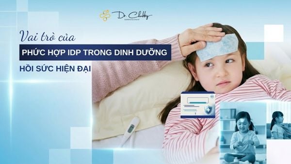 Phục Hồi Sau Bạo Bệnh: Tại Sao Calo Thôi Là Chưa Đủ Để Tái Thiết Cơ Thể?
