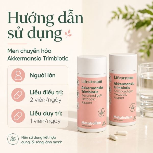 Men Vi Sinh Chuyển Hoá Lifestream Akkermansia Trimbiotic