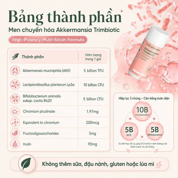 Men Vi Sinh Chuyển Hoá Lifestream Akkermansia Trimbiotic