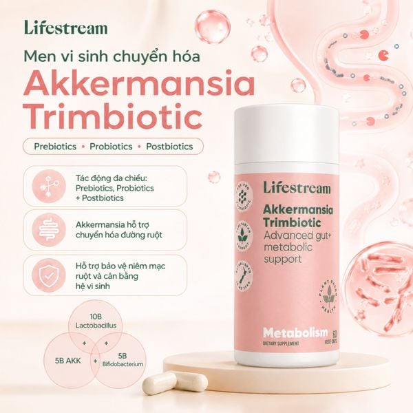 Men Vi Sinh Chuyển Hoá Lifestream Akkermansia Trimbiotic