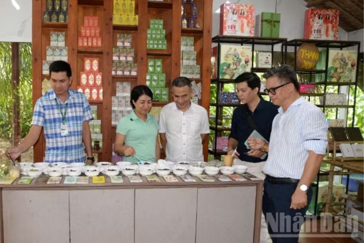 Đắng ngọt vị 'vàng nâu' châu thổ Mêkông