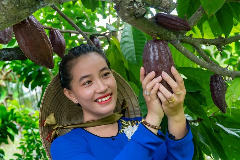 Exquisite international standard Vietnamese chocolate shipped to Japan