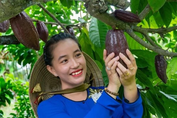 Exquisite international standard Vietnamese chocolate shipped to Japan