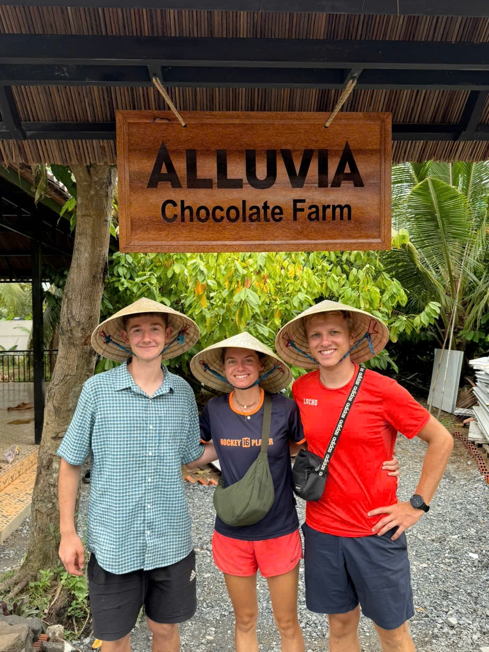 Tham quan nông trại ca cao Alluvia tại Tiền Giang: Trải nghiệm đặc sắc cho du khách