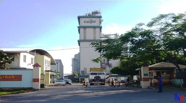 DỰ ÁN ĐIỆN MẶT TRỜI ÁP MÁI CARGILL BIÊN HÒA – GIẢI PHÁP NĂNG LƯỢNG BỀN VỮNG