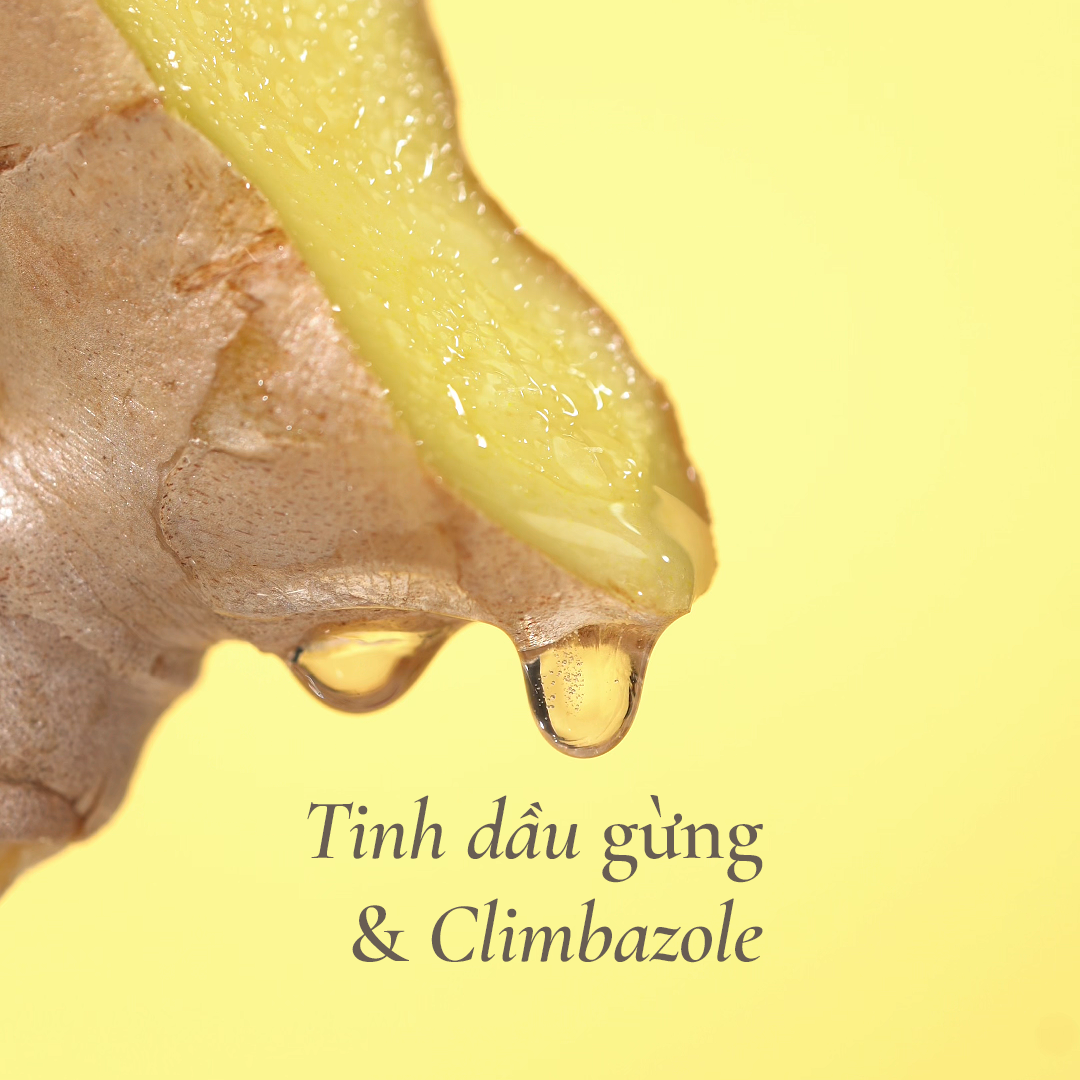 [MỚI] Nước dưỡng tóc gừng tươi