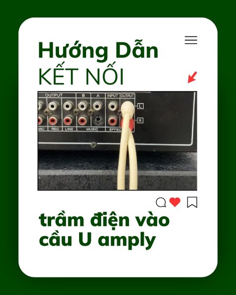 Hướng dẫn cắm sub điện vào cầu U của amply