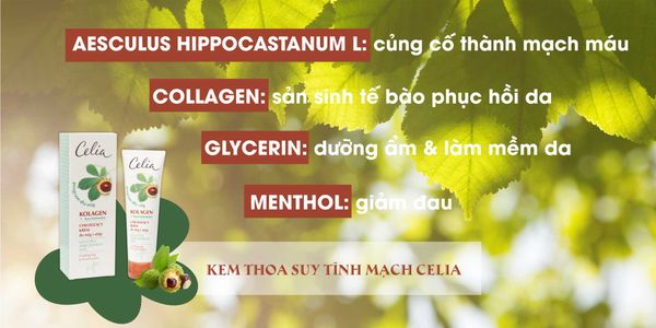 Kem thoa Celia có thành phần gì?