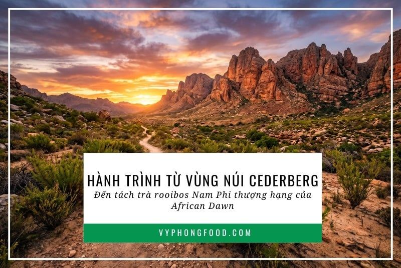 Hành trình từ vùng núi Cederberg đến tách trà rooibos Nam Phi thượng hạng của African Dawn.