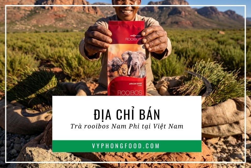 Địa chỉ bán trà rooibos Nam Phi tại Việt Nam.