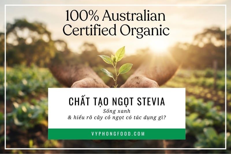 Chất tạo ngọt Stevia: Sống xanh và hiểu rõ cây cỏ ngọt có tác dụng gì?
