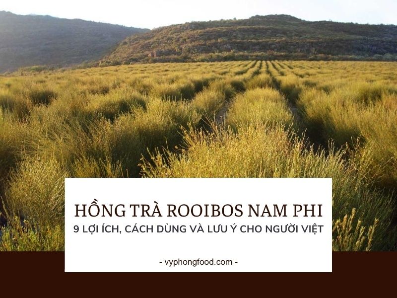 9 lợi ích không thể bỏ qua của hồng trà rooibos Nam Phi.