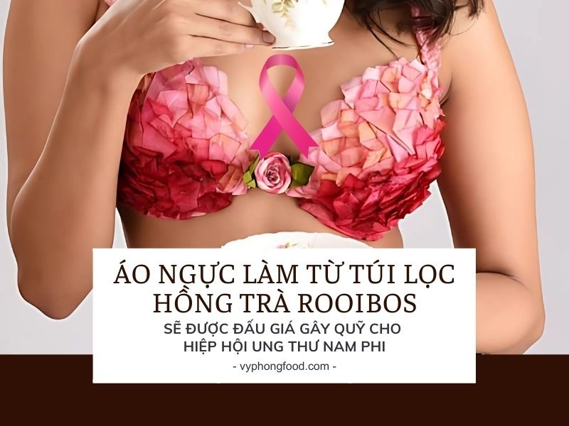 Áo ngực làm từ túi lọc hồng trà rooibos sẽ được đấu giá gây quỹ cho Hiệp hội Ung thư Nam Phi (CANSA).