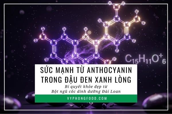 Sức mạnh từ Anthocyanin trong đậu đen xanh lòng: Bí quyết khỏe đẹp từ bột ngũ cốc dinh dưỡng Đài Loan.