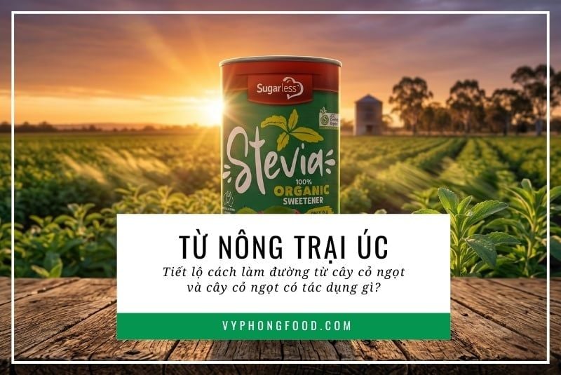 Từ nông trại Úc: Tiết lộ cách làm đường từ cây cỏ ngọt và cây cỏ ngọt có tác dụng gì?