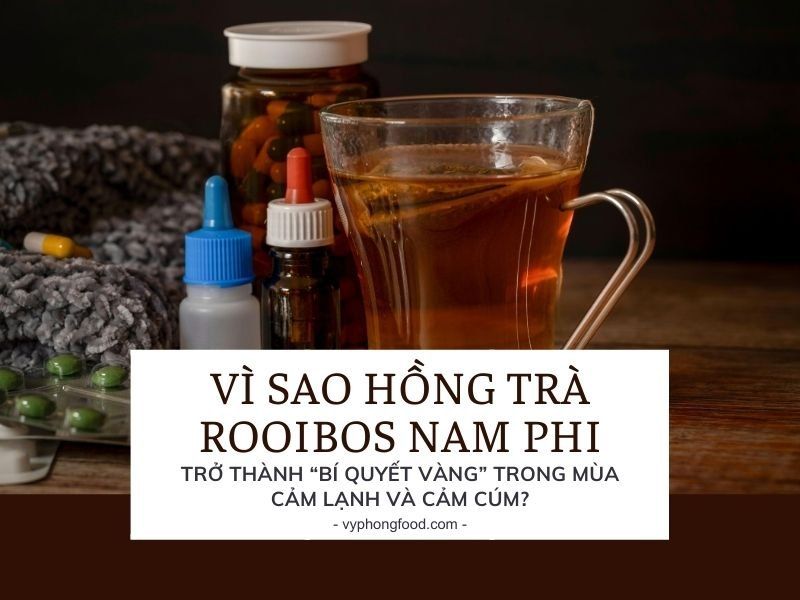 Vì sao hồng trà rooibos Nam Phi trở thành “bí quyết vàng” trong mùa cảm lạnh và cảm cúm?