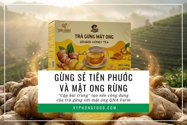 Gừng sẻ Tiên Phước và mật ong rừng: 