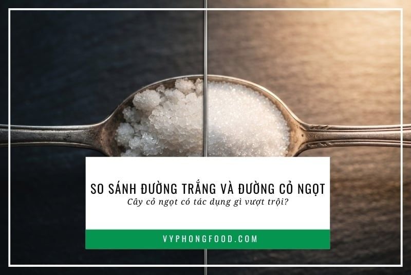So sánh đường trắng và đường cỏ ngọt: Cây cỏ ngọt có tác dụng gì vượt trội?