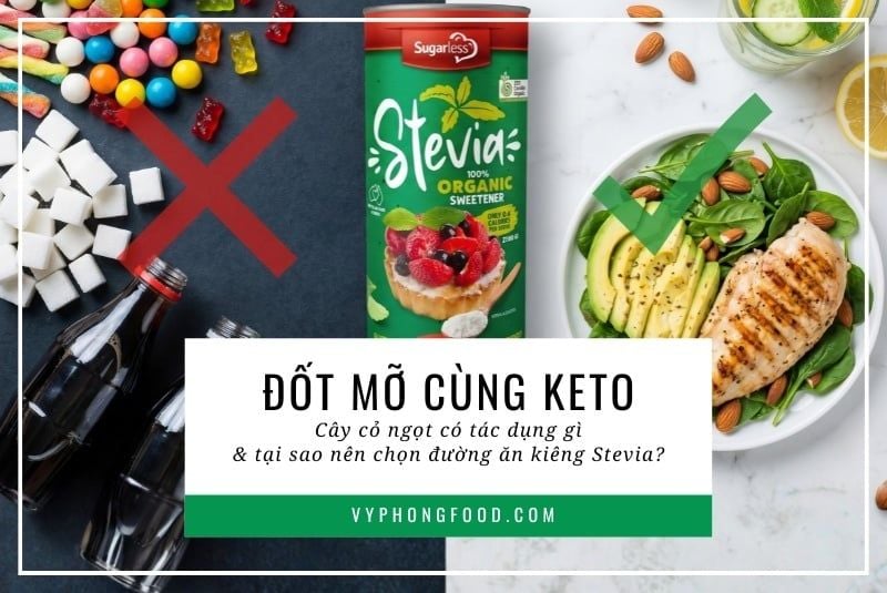 Đốt mỡ cùng keto: Cây cỏ ngọt có tác dụng gì và tại sao nên chọn đường ăn kiêng Stevia?