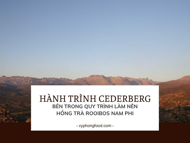 Hành trình Cederberg: Bên trong quy trình làm nên hồng trà rooibos Nam Phi.
